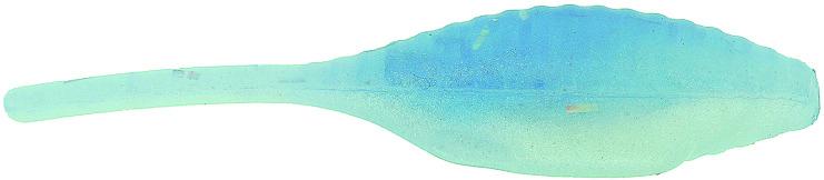 Bass Assassin Fishing Lure SA01522 Tiny Shad Assassin Swimbait 1 1/2" Blue Ice