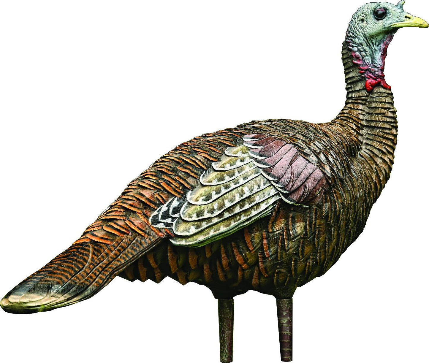 Avian-X 8006 LCD Lookout Hen Turkey Decoy, Full Body, Inflatable