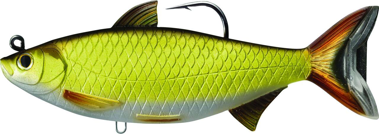 LiveTarget GSS159MS704 Golden Shiner Swimbait, 6 1/2", 11/0 Hook